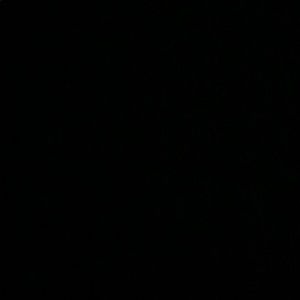 Meet your Posher, Dakota